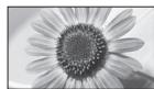 PANASONIC TX-L47ET50E - Automatique - 7