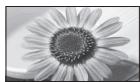 PANASONIC TX-L47ET60E - Automatique - 2