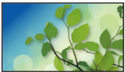 PANASONIC TX-32AS600E - Informations - 6