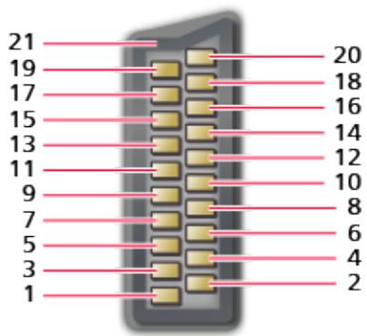 PANASONIC TX-32AS600E - Borne AV1 (péritel) (RGB, VIDÉO) - 1