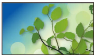 PANASONIC TX-32AS600E - Informations - 9