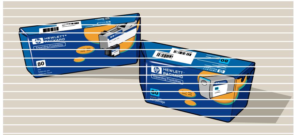HP DESIGNJET 510 - Important - 1