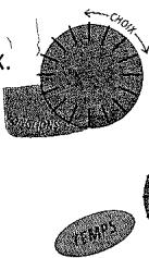 BRANDT NAVIS - Programmation par la fonction - 1