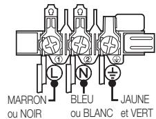 MARRON ou NOIR BLEU ou BLANC JAUNE et VERT