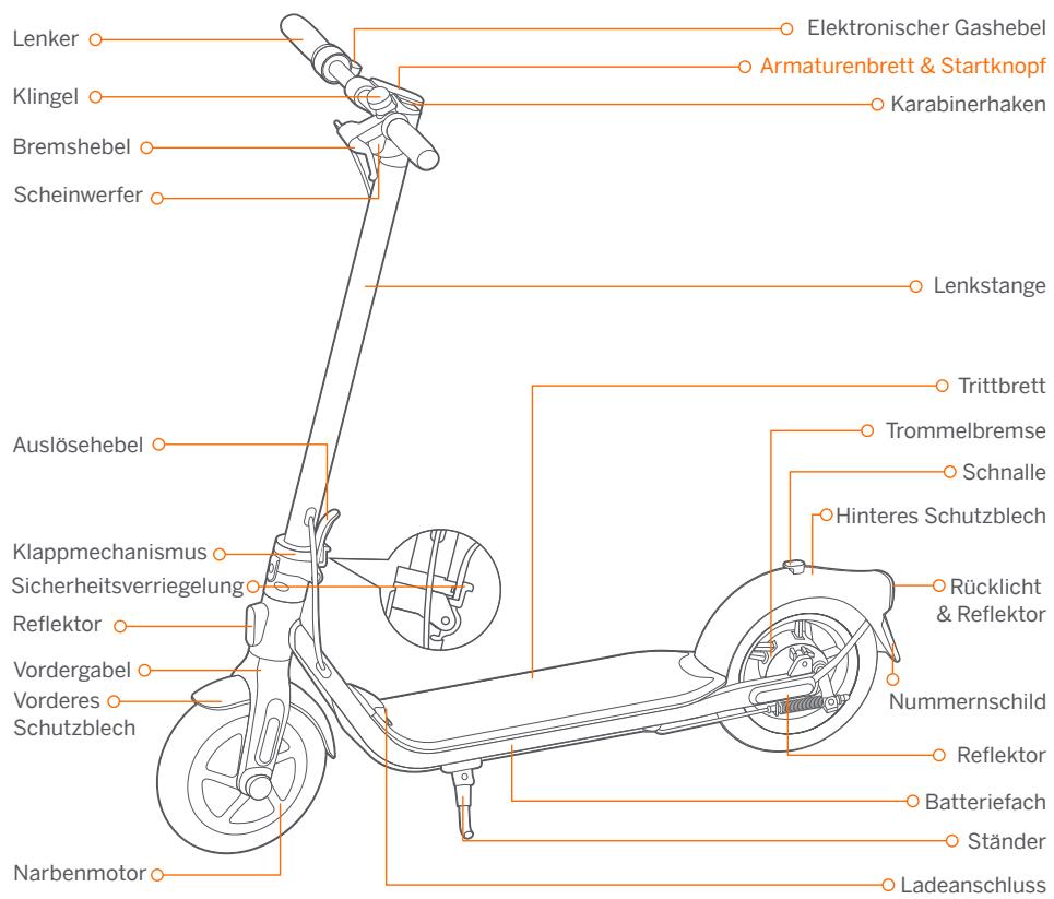 NINEBOT SEGWAY KICKSCOOTER D28E - Diagramm - 1