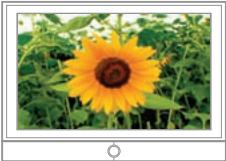 SAMSUNG HMX-T11WP - VISIONNAGE SUR UN ÉCRAN DE TÉLÉVISION - 1