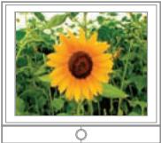 SAMSUNG HMX-T11WP - VISIONNAGE SUR UN ÉCRAN DE TÉLÉVISION - 2