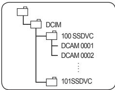SAMSUNG DIGITAL CAM - Organisation des dossiers et fichiers de la carte mémoire - 1