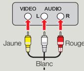 VIDEO AUDIO L R Jaune Blanc Rouge