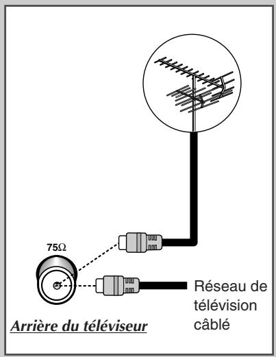 SAMSUNG CS-20H4MJ - Branchez l'antenne ou un réseau de télévision câble - 1