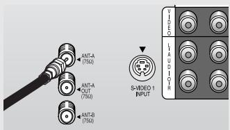 SAMSUNG HCL652W - Antennes avec fiches rondes de 75-ohms - 1