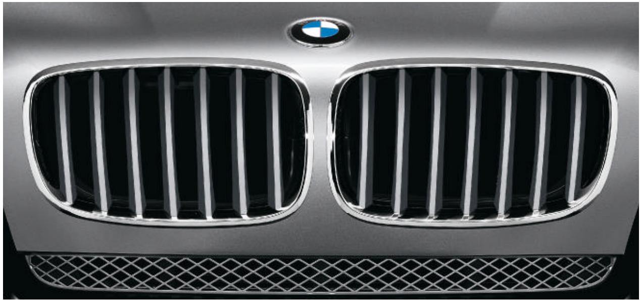 BMW X5 - Investissement maximal. - 11