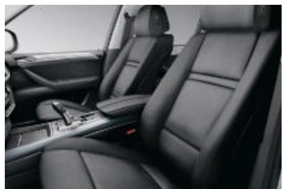 BMW X5 - Investissement maximal. - 29