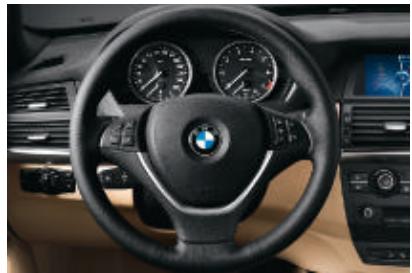 BMW X5 - Investissement maximal. - 40