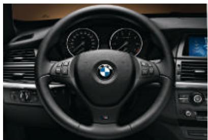 BMW X5 - Investissement maximal. - 48