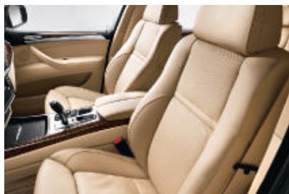 BMW X5 - Investissement maximal. - 27