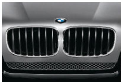 BMW X5 - Investissement maximal. - 12