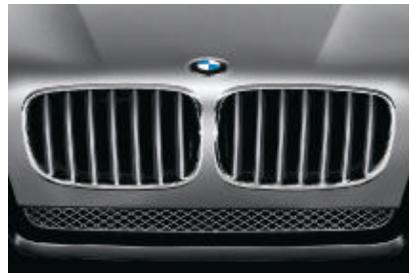 BMW X5 - Investissement maximal. - 42