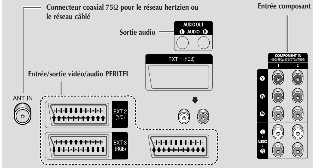 SAMSUNG SP-43W6HE - Panneaux de connexion (en fonction du modèle) - 3