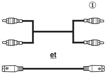 SAMSUNG SP-43W6HE - Branchement de l'entrée S-Vidéo - 3