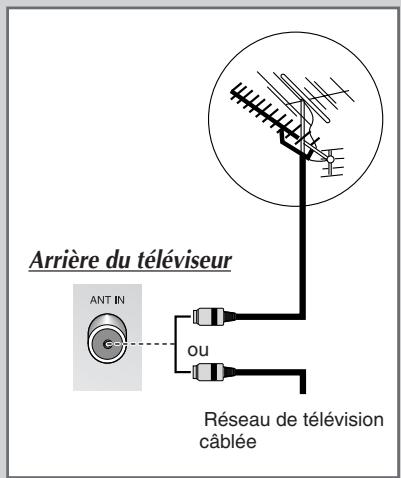 SAMSUNG SP-43W6HE - Branchement à un réseau de télévision câblée ou hertzienne - 1