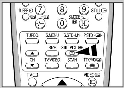 SAMSUNG CS-29Z4HP - Faites un arrêt sur image (Option) - 1