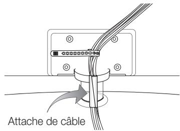 SAMSUNG LE37C579J1S - Assemblage des câbles - 1