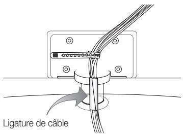 SAMSUNG LN46C610 - Disposition des câbles - 1