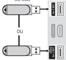 SAMSUNG LN46C610 - Branchement d'un dispositif USB - 1