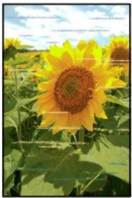 CANON PIXMA IP8750 - Les couleurs sont striées - 1