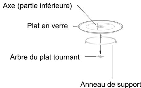 CANDY CMW 200 S - Installation du plat tournant - 1