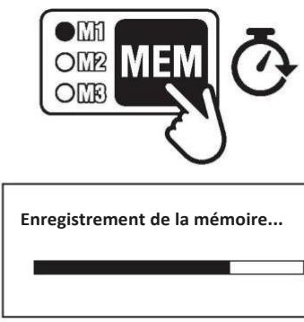 LINCOLN ELECTRIC VIKING 3350ADV - Mémoires - 2