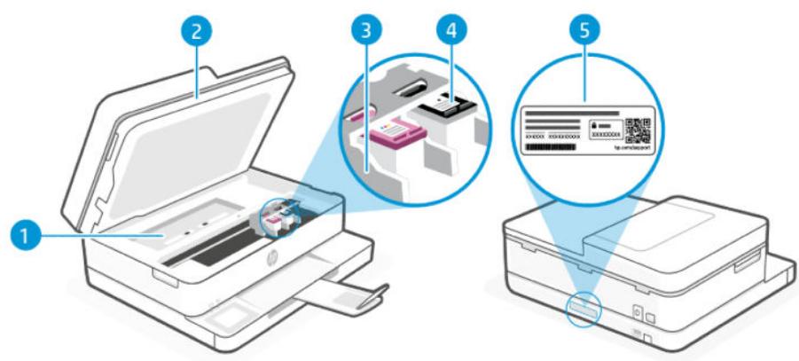 HP Envy 6132e - Zone d'approvisionnement pour l'impression - 1