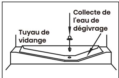 HISENSE RB3B250SAWE - Compartment réfrigérateur - 1