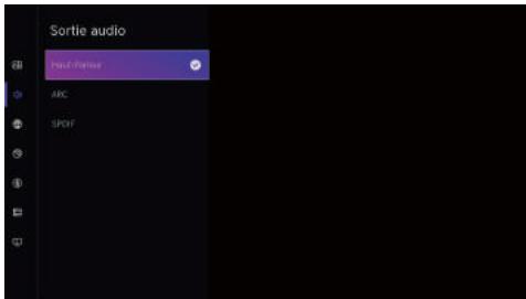 ESSENTIELB 24DLED544 - Sortie audio - 1