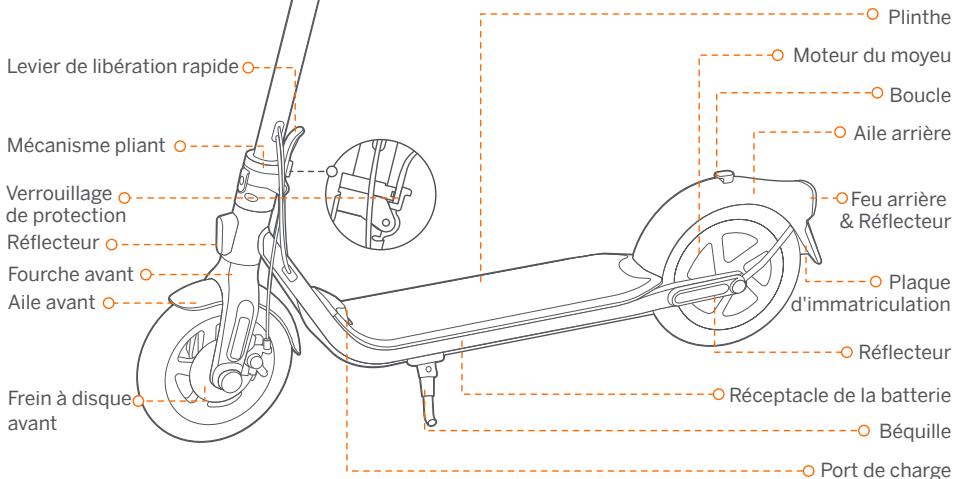SEGWAY Ninebot KickScooter F2 - Ninebot KickScooter - 1