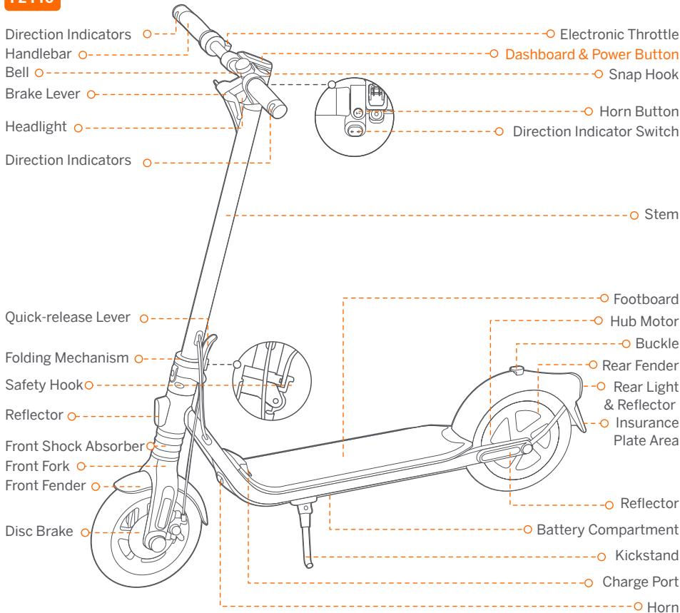 SEGWAY Ninebot KickScooter F2 - Diagram - 2