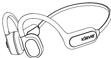 iclever BTH17 - IC Caution - 1