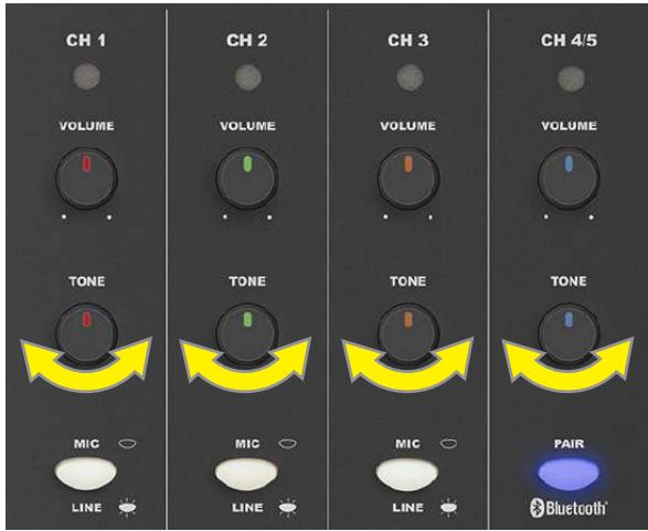 FENDER Passport Conference Series 2 - SYSTEM SETUP - 10