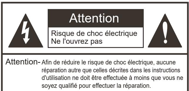JENSEN JTV2423DCS - Avertissement - 1