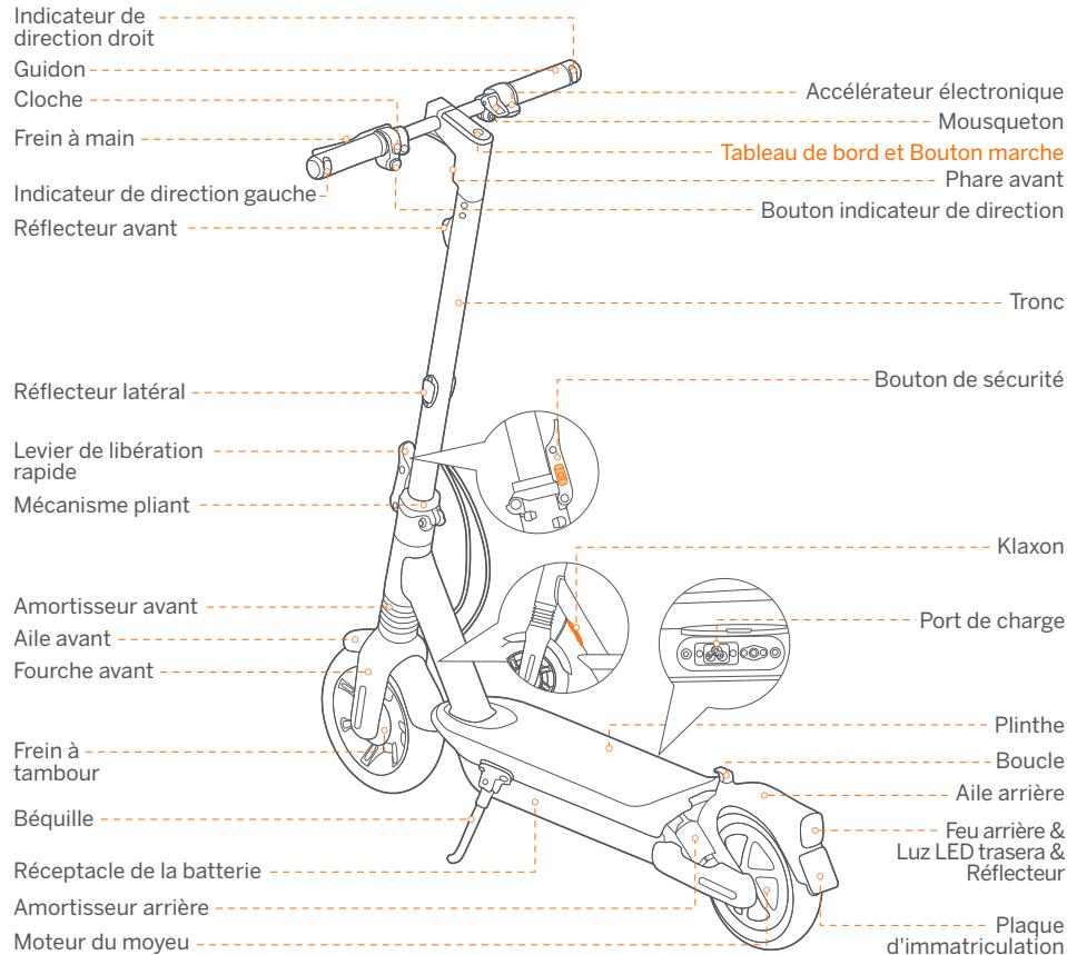 SEGWAY Ninebot KickScooter - Diagramme - 1