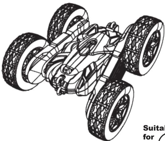 SGILE HG4-10 - REMOTE CONTROL STUNT CAR USER MANUAL - 1
