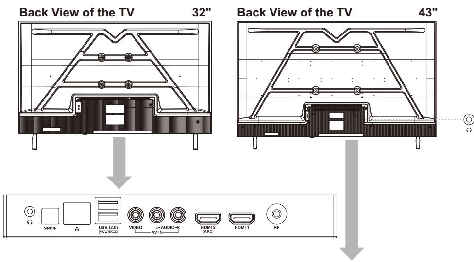 RCA TC-LE43K-AN2401 - Location of Connections - 1