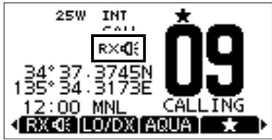 ICOM M510BB - Using the RX Hailer - 2