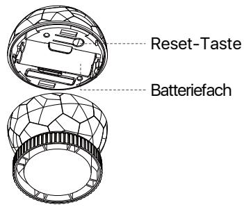 Loocam V6.W.02.L - Produkt-Überblick - 2