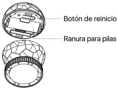 Loocam V6.W.02.L - Presentación del producto - 2