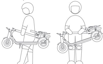 NAVEE V50 - Transporter - 1