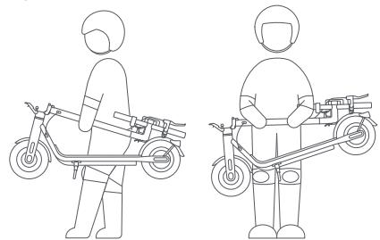NAVEE V50 - Carry - 1