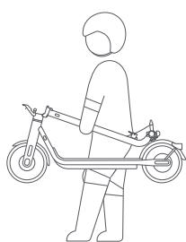 NAVEE V40 - Carry - 2