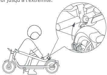 NAVEE V40 - Dépliage - 1